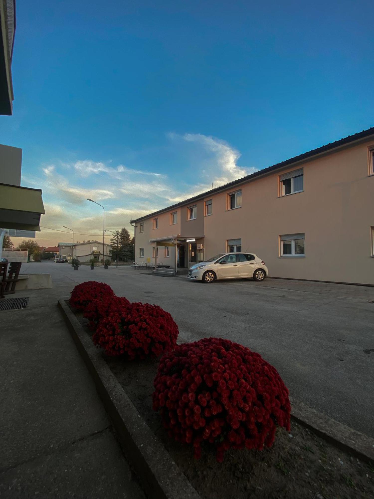 Vila Safir Loznica Esterno foto